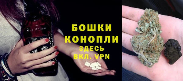 эйфоретик Белокуриха