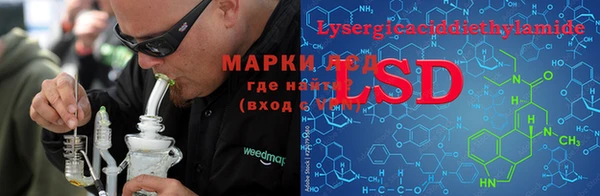 шишки Беломорск