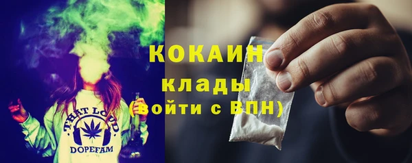 шишки Беломорск
