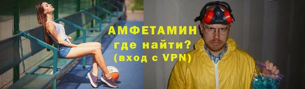 шишки Беломорск