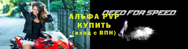 шишки Беломорск