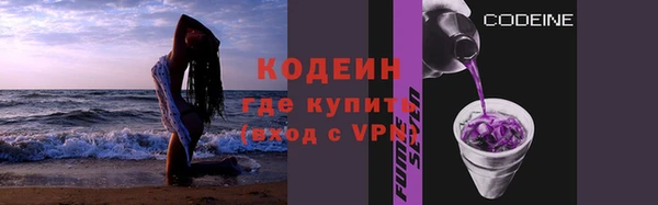 шишки Беломорск