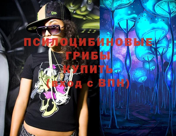 эйфоретик Белокуриха