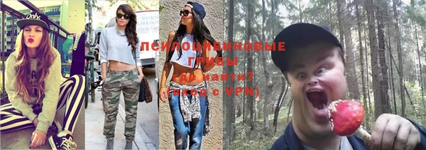 эйфоретик Белокуриха
