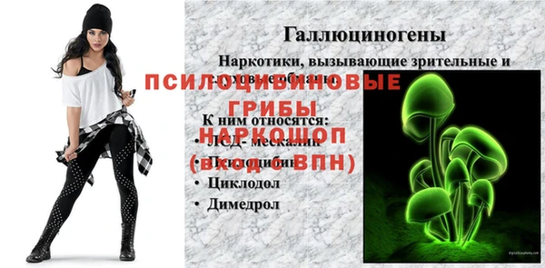 эйфоретик Белокуриха