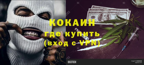 шишки Беломорск