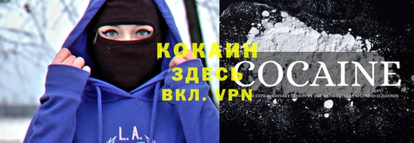 шишки Беломорск