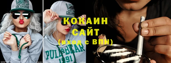 шишки Беломорск