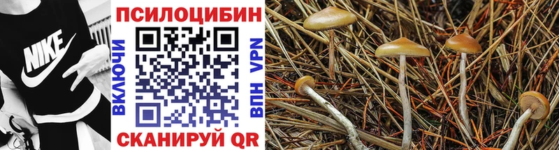 Псилоцибиновые грибы прущие грибы  Окуловка 